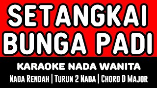 Download lagu SETANGKAI BUNGA PADI - SANTA HOKY - KARAOKE NADA WANITA mp3 Download lagu SETANGKAI BUNGA PADI - SANTA HOKY - KARAOKE NADA WANITA mp3