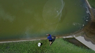 Amazing Shad Drone Footage-Cast to Feed