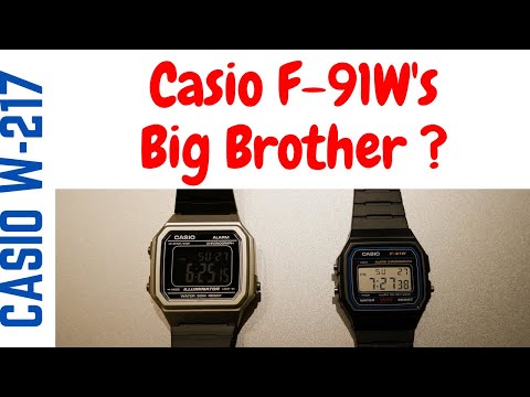 Laikrodis Casio W-219H-1AVEF video