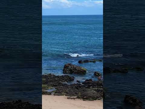 Rio Vermelho Salvador Bahia