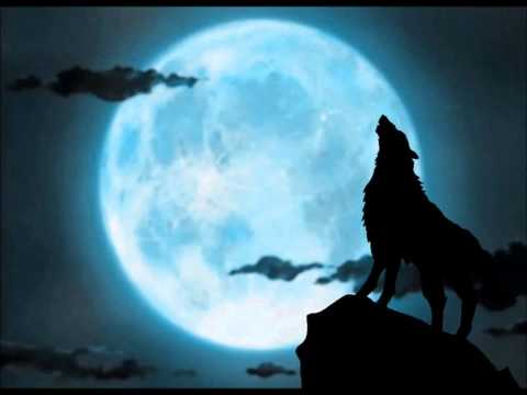 Nicki Minaj, deadmau5, Skrillex - Super Bass (PlusFOUR Mashup Remix)