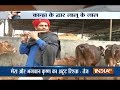Lalu Yadav's son Tej Pratap turns to Lord Krishna to boost his political career