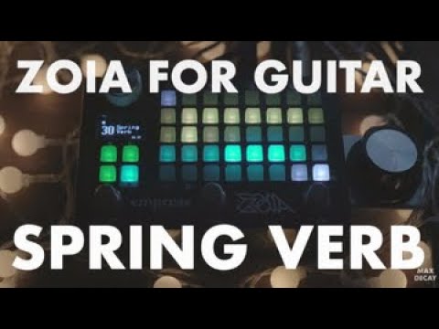 Empress ZOIA Guitar Demo – Spring Verb