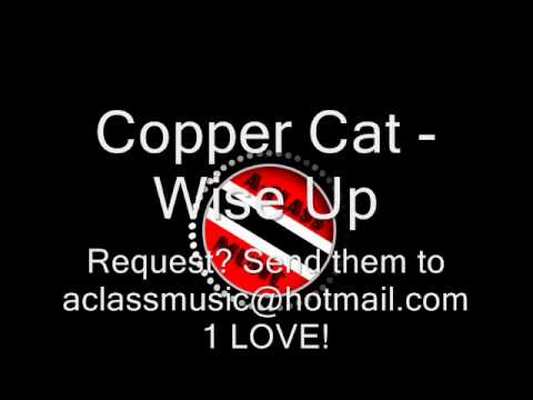 Copper Cat - Wise Up