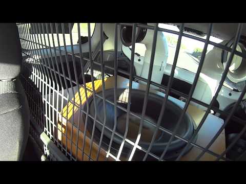 Gorilla Joe - Juicebox (34Hz Decaf)