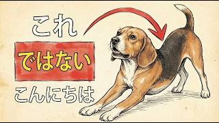 あなたの犬はあなたを見ると伸びをしますか？➡️これは本当の意味です！