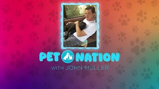 Tips for First-Time Pet Owners