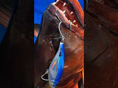 Costa Rica's Best Kept Fishing Secret!! 🎣