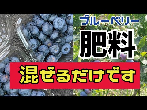 なぜ庭に硫黄を使うのですか？欠かせない4つの美徳  庭園