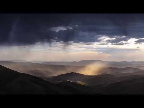 Max Tenrom - Skydiver (Holed Coin Remix) [Art Vibes]