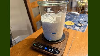 Pro Pakusane Sourdough Starter Warmer Mat 3.0 Review