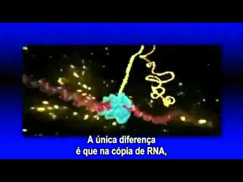 Dogma Central da Biologia Molecular [LEGENDADO] pt/BR