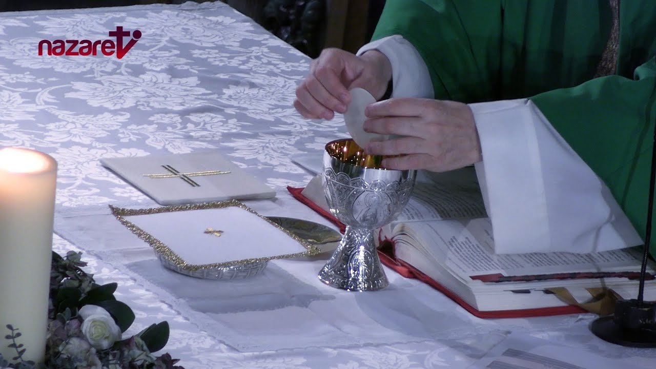 Santa Misa de hoy miércoles 13 de noviembre de 2024. Rvdo. Enric Ribas, pbro.