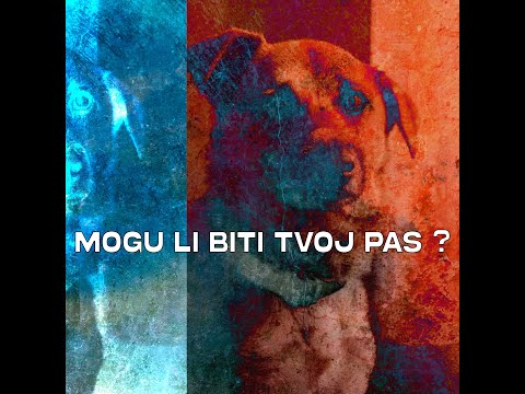 General Two - Mogu li biti tvoj pas