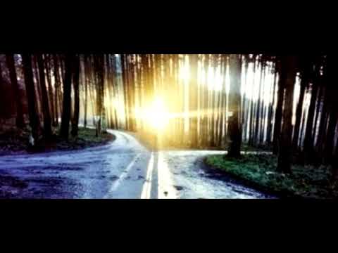 Meta G @jahmirjahliv5994  Mv @90scorp23  - Dexal Bai