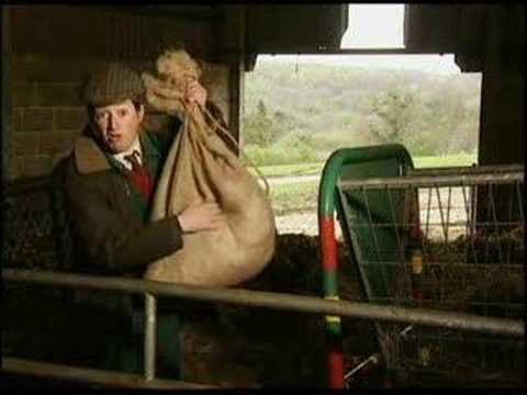 Farming is Easy Money