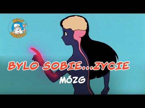 Bylo Sobie... Zycie 🌱- Mózg 🧠