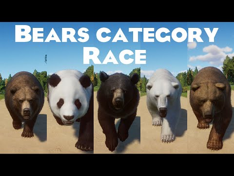 Bears Category Speed Races in Planet Zoo included Polar Bear, Sun Bear, Grizzly Bear, Panda & etc