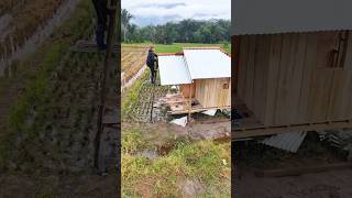 Download lagu Making a rice field hut house indo1team for 3 days🔥 mp3