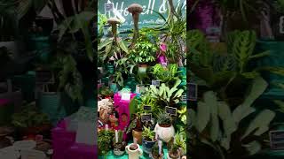 Welcome to St George's Market: A Taste of Belfast | Belfast | Northern Ireland