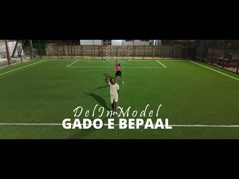 DelInModel - Gado E Bepaal  (Prod. D'Meek)