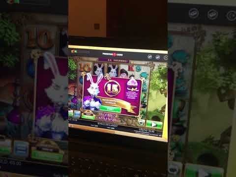 White rabbit 500€ Bonus buy