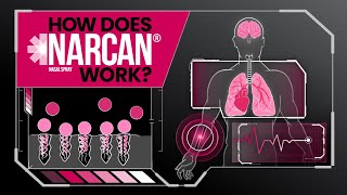 Product video: Narcan Naloxone Nasal Spray - 4 mg