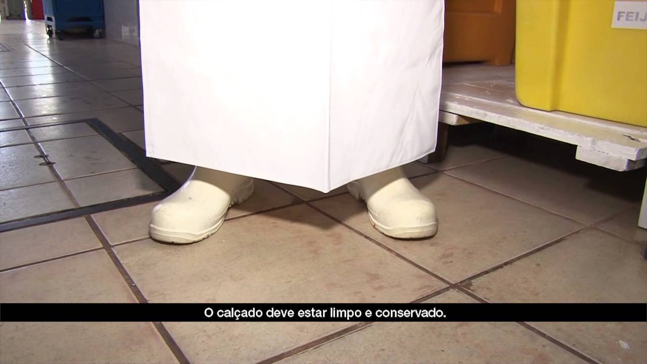 Alimentos | Módulo 5 Aula 2 | Uniforme