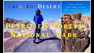 4K UHD | Petrified Forest | Painted Desert | Arizona, USA