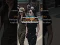 Saya Lebih Suka Hijab Lidah Love Storywa Masukberanda