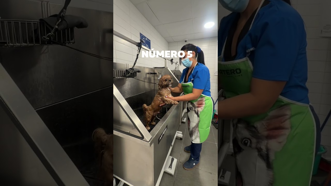 Peluqueria parque arauco