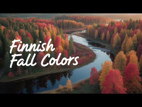 Autumn in Kauhajoki, Finland | Experience the Real Magic of Nature  in 4K Cinematic drone Film