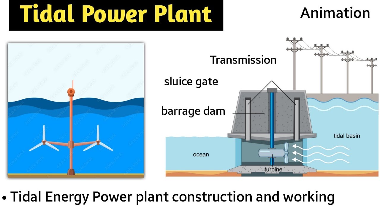 tidal energy | tidal power plant in hindi | animation | working | barrage type | double basin type
