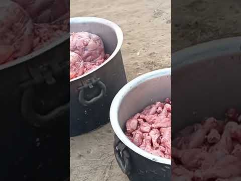 video #funny #song #music #ai #rap #memes #anime #remix #issei #animation # 9021815632 call karo 💌