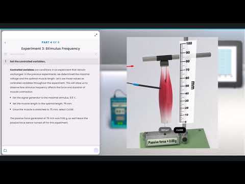 Pearson Interactive Labs | Skeletal Muscle Contraction