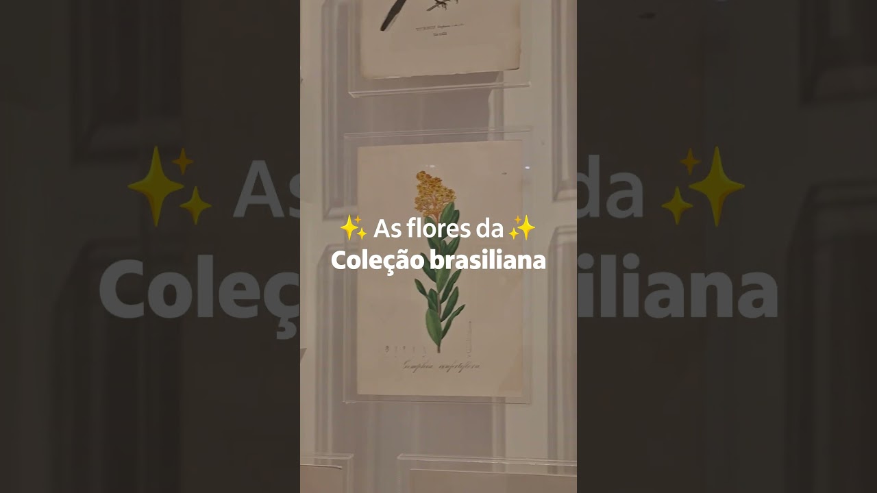 As flores da “Coleção brasiliana”, no Itaú Cultural! 🌻 #shorts