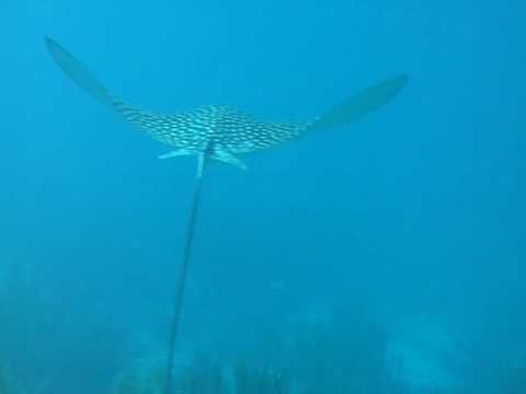 Südwest Küste ´Aquarius´