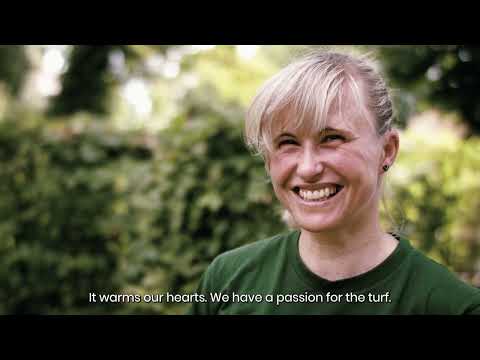 Greenovis Group: gardening and landscaping is our passion