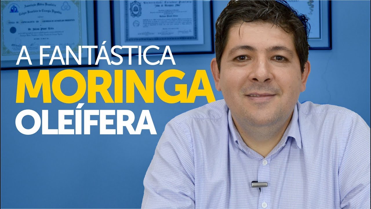 A Fantástica Moringa oleífera