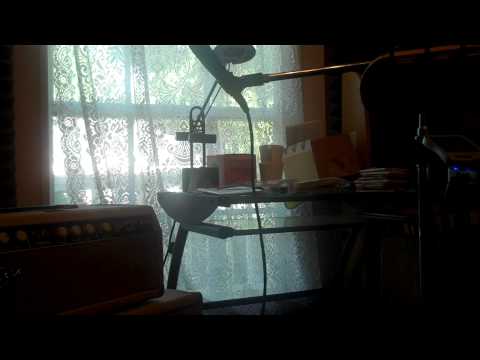 Vintage Fender Amps and Guitars (Roland DEP-5)