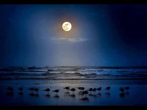 Beach At Night / Samandar Aur Chandni Raat / Moonlight Galveston Beach,TEXAS
