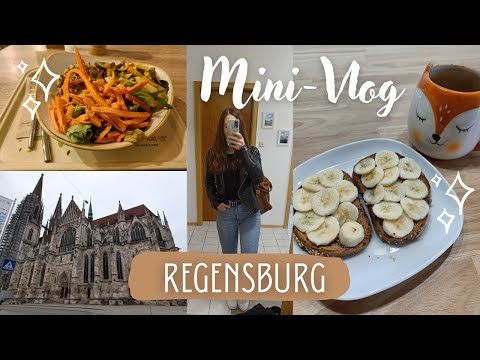 MINI VLOG | Tag in Regensburg ☕🛍️