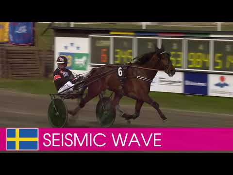 Välkommen till Elitloppet 2021 - Seismic Wave!