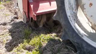 トラクターが土を耕す様子を観察してみよう【浅めの耕耘】