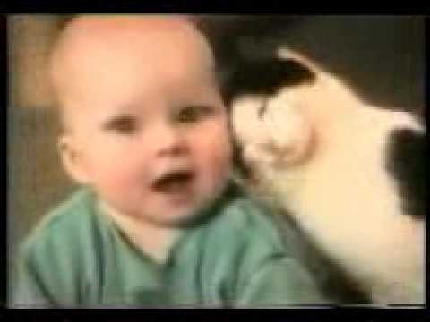 DJ koshak Кошки