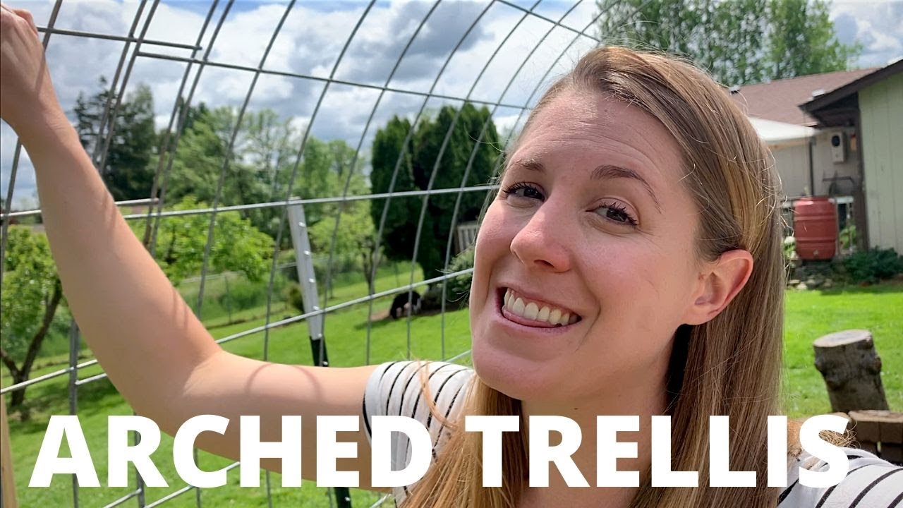 How to build an ARCHED TRELLIS | Vertical Gardening