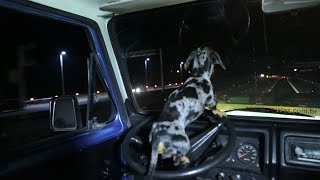 TEM UM CACHORRO NO VOLANTE! Campos parte 2. GoOut Ep.03