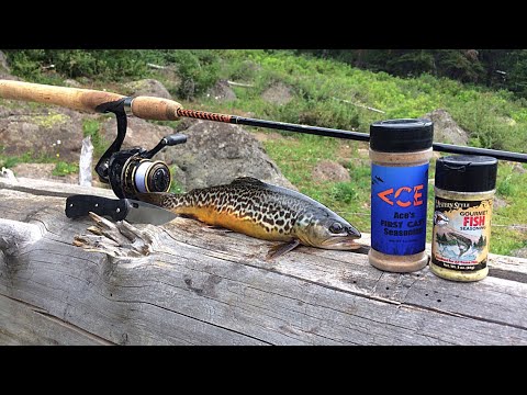 Tiger Trout Fishing Catch n’ Cook Deep in the Mountains