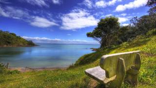 Ronski Speed & Sebastian Sand - Sole Survivor (Sebastian Sand Rmx) HQ