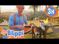 Blippi S Day As An Animal Caretaker In Brazil Blippi Kids TV Shows